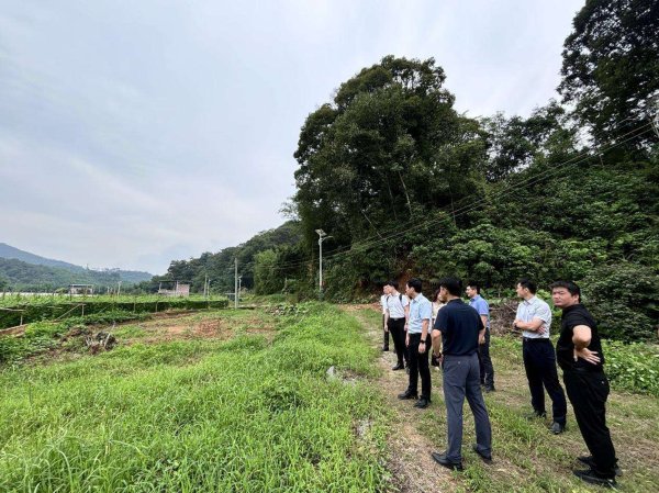 盛宝策略 多元帮扶助力“百千万工程”  粤电置业谱写乡村振兴新篇章
